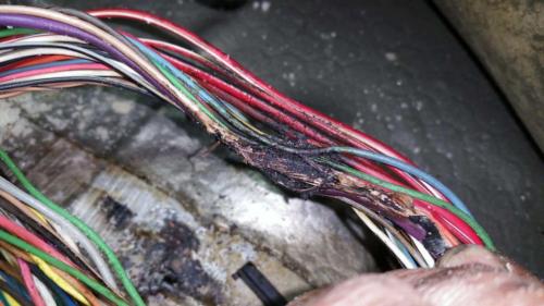 Bad car wiring melted